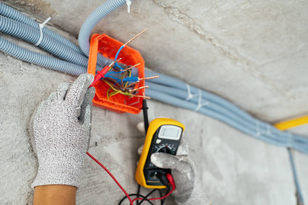 Best Electric Panel Repair  in Concord, VA